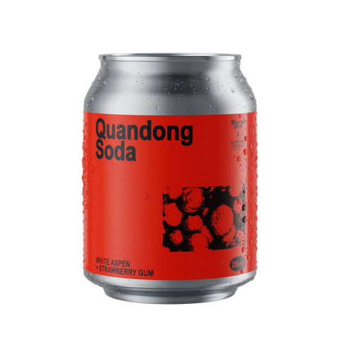 MB X FFC QUANDONG SODA