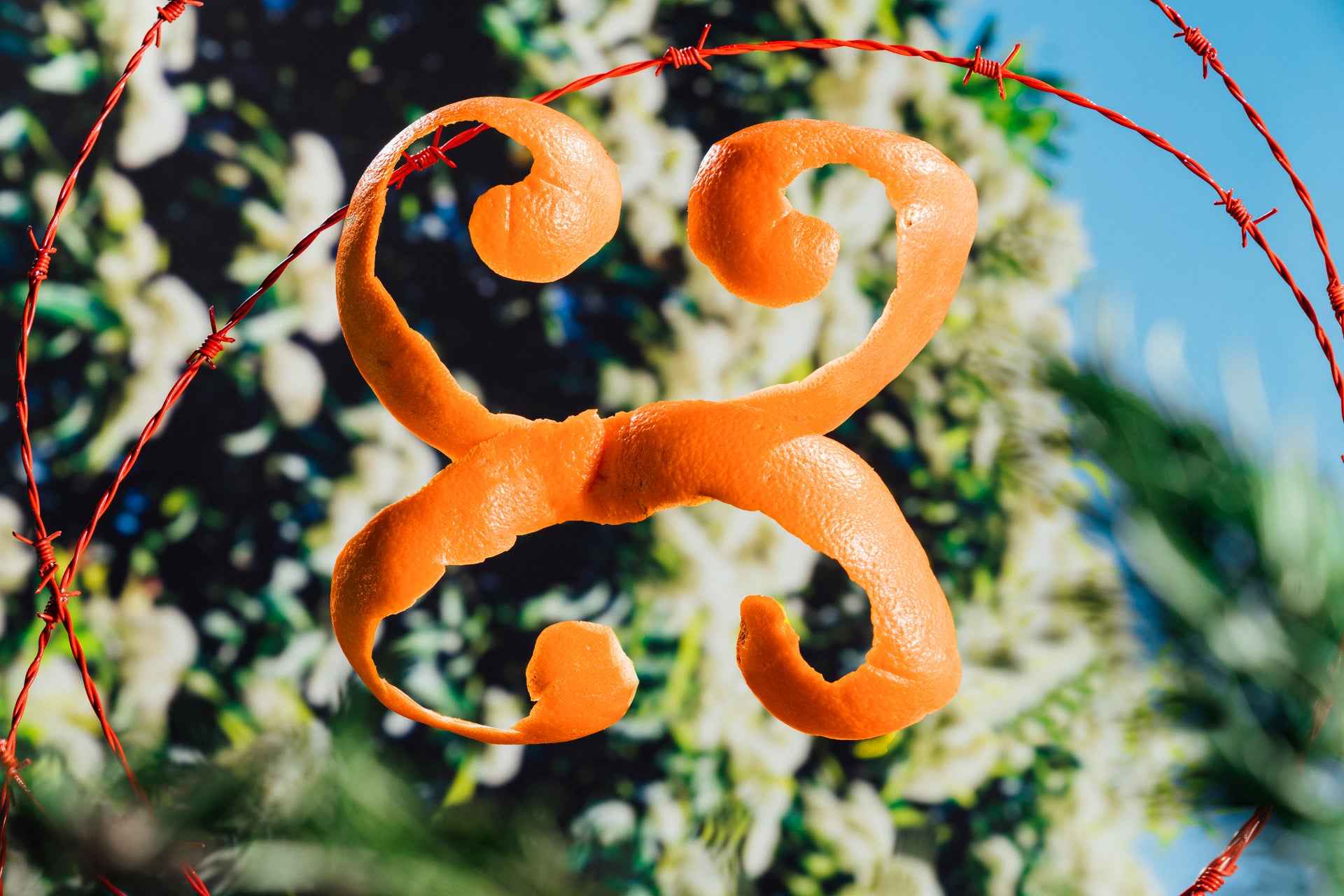 Mischief Brew Mixed Tonic Water Carton