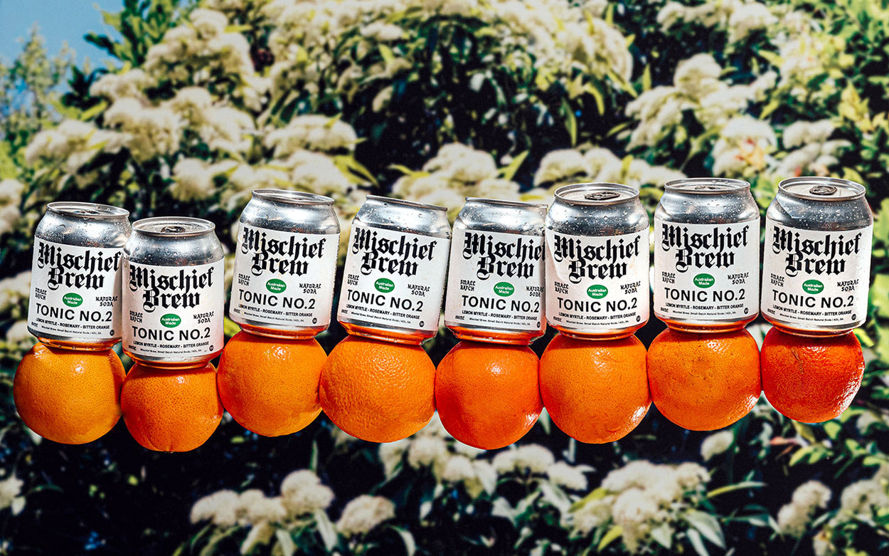 Mischief Brew Tonic No 2